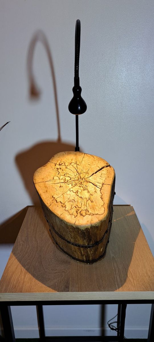 Origine, pièce nº 21, photo 3 sur 4