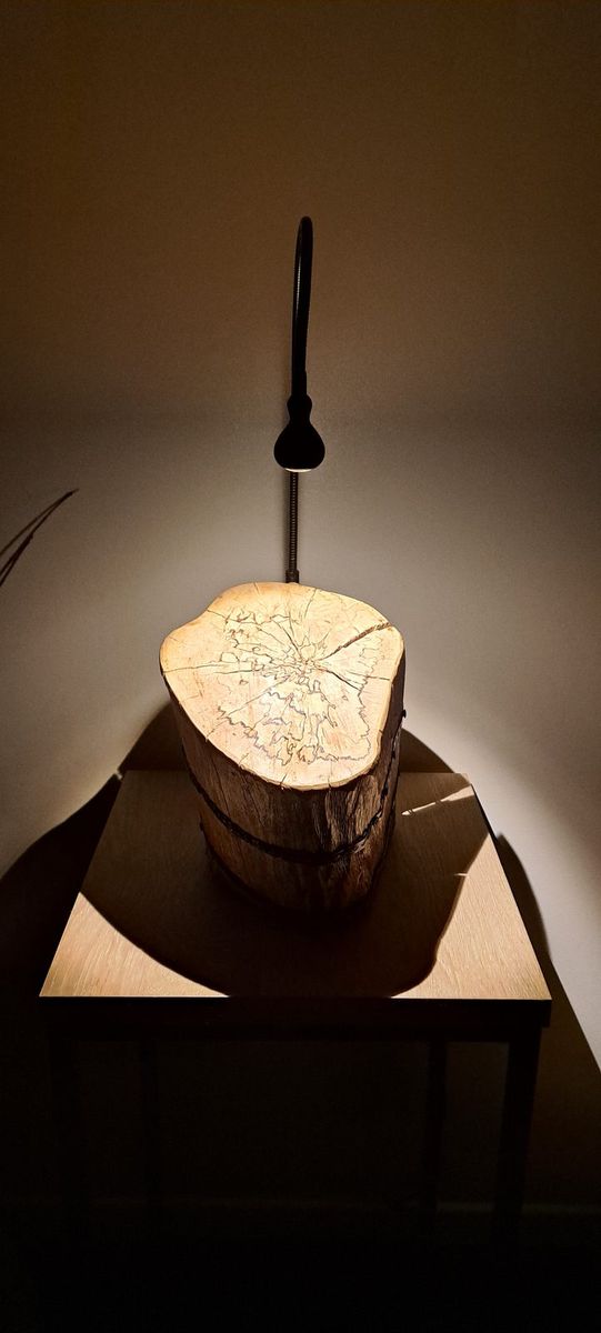Origine, pièce nº 21, photo 2 sur 4