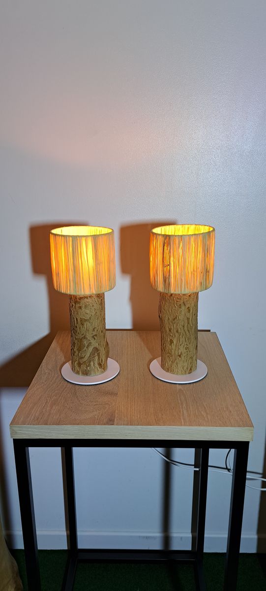 Origine, pièce nº 50, photo 3 sur 4