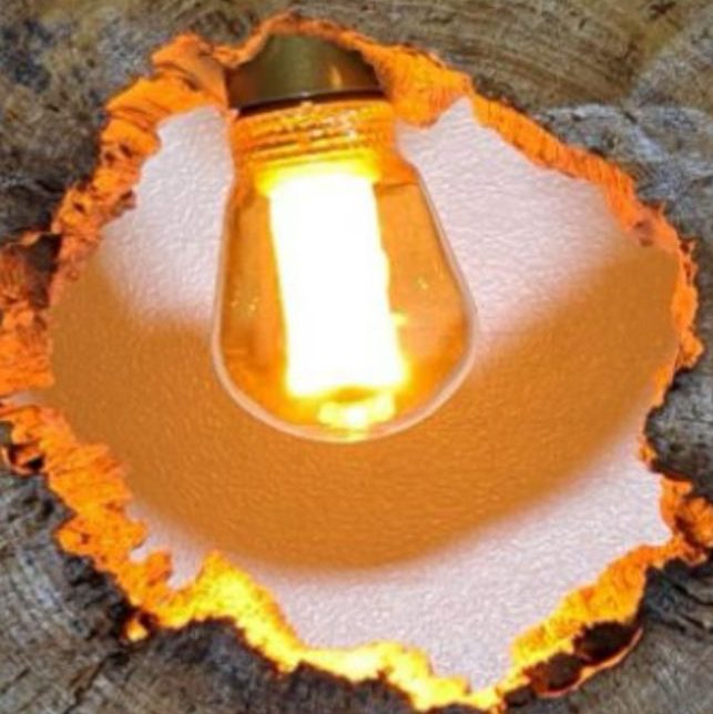 Ampoule allumée au cœur d'une tranche de bois